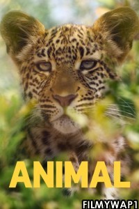 Animal (2021) Hindi Web Series