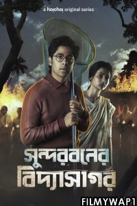 Sundarbaner Vidyasagar (2022) Bengali Web Series