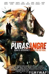 Purasangre (2016)